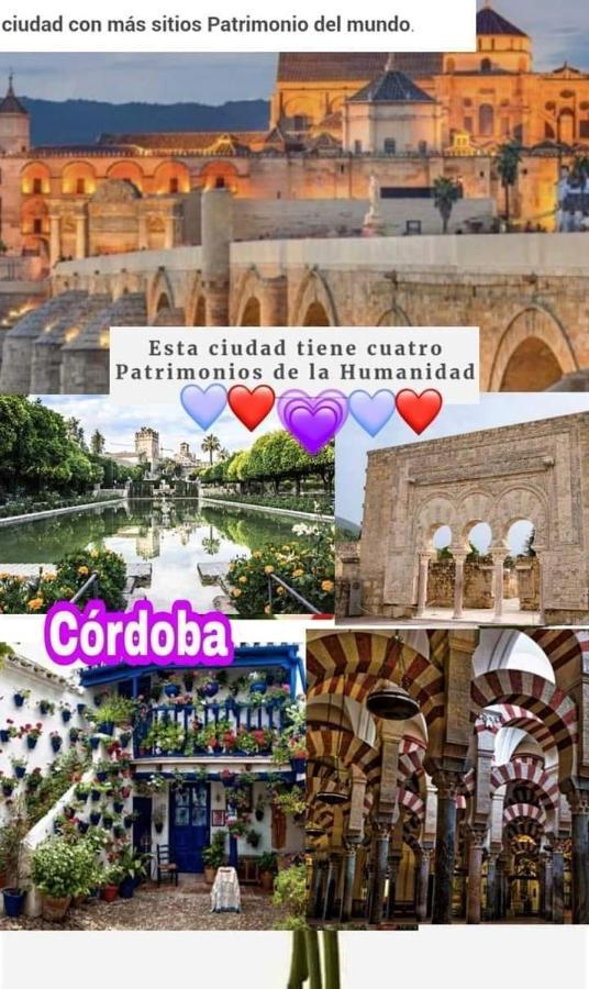 Apartament Grupo Limcotel El Paseito De Concha-mesquita-parking *